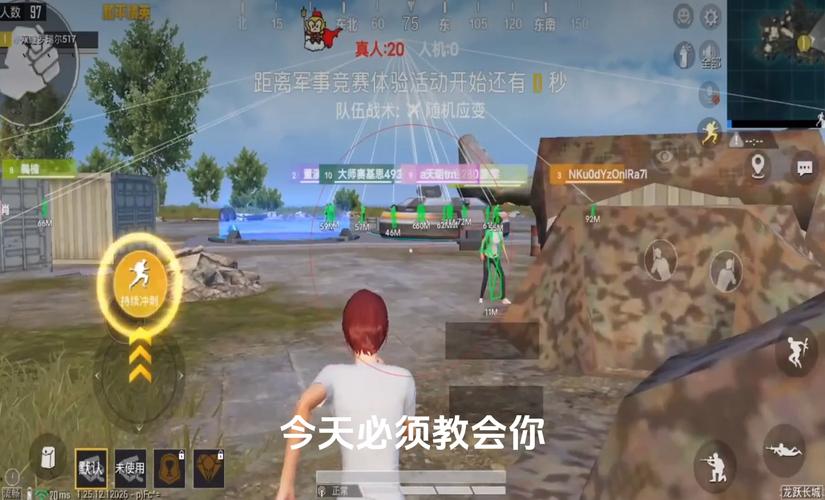 和平精英辅助【九世】